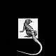 thelizardking's Avatar