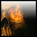 The_flaming_eye_of_Sauron's Avatar