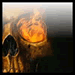 The_flamig_eye_of_Sauron's Avatar