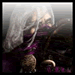 haynes's Avatar