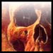 Paypal_Victim's Avatar